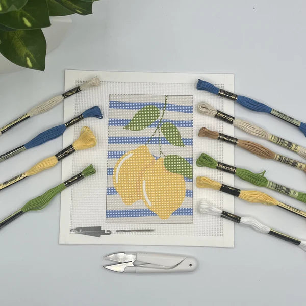 Needlepoint Kits